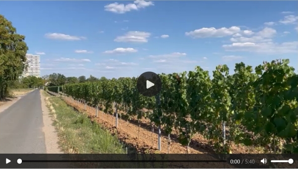 Video Strecke Startbild 600