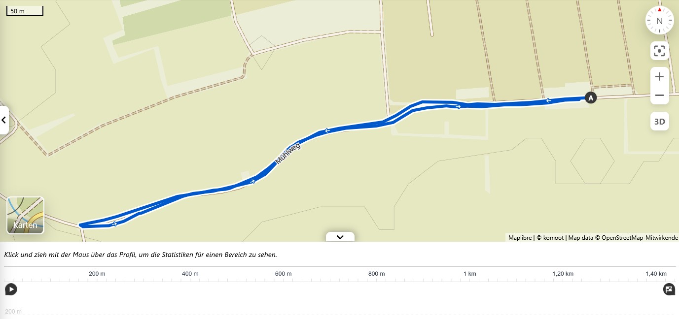 Schuelerlauf 1500m 2