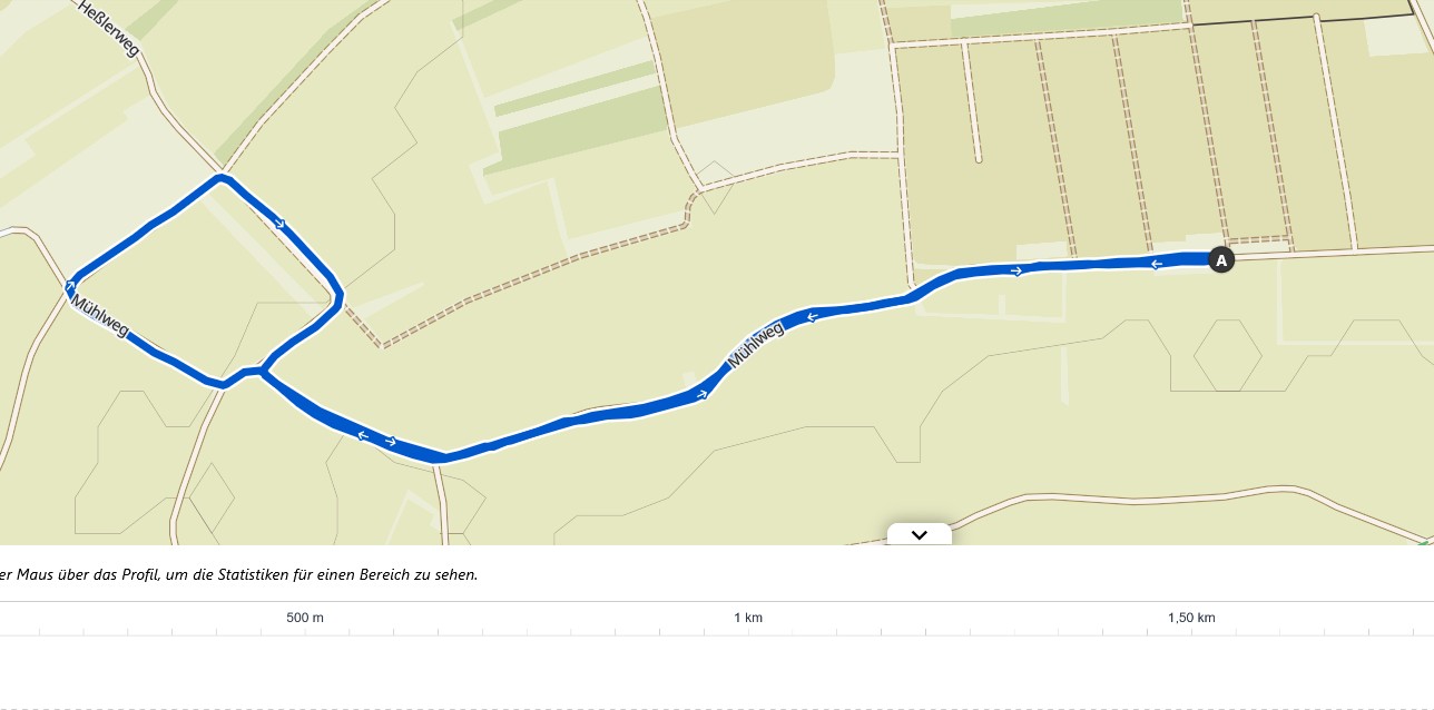 Schuelerlauf 2400m 2