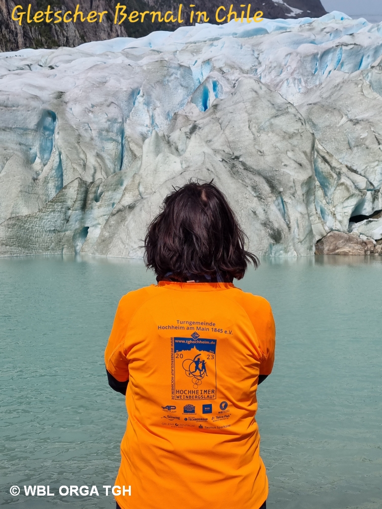 Bernal Glacier 