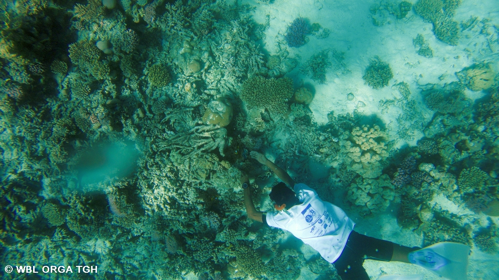 Hurghada 7