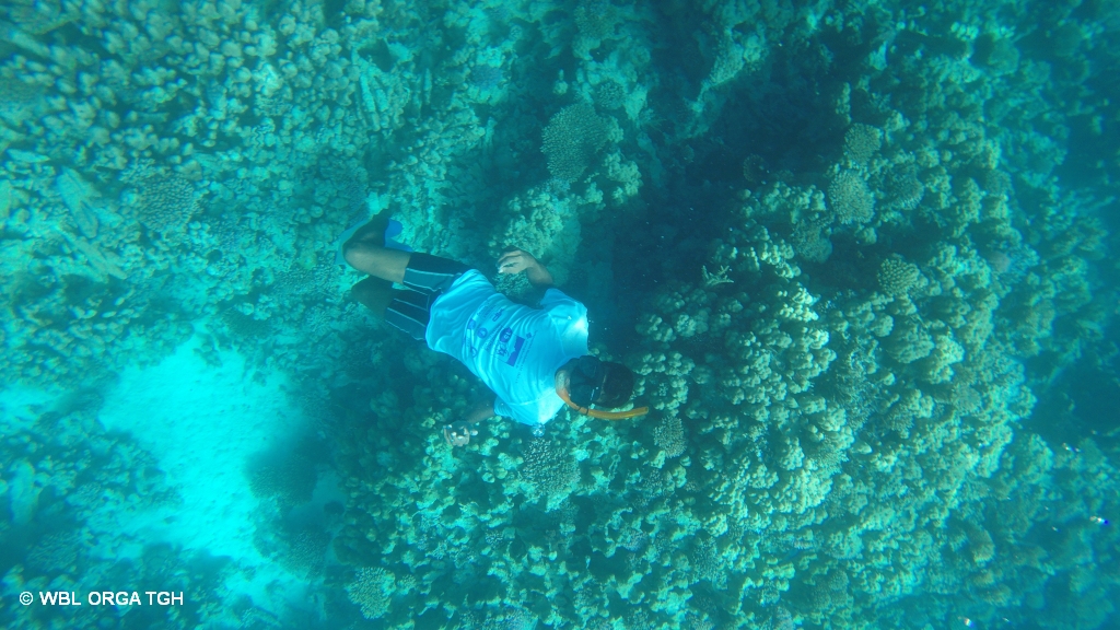 Hurghada 8