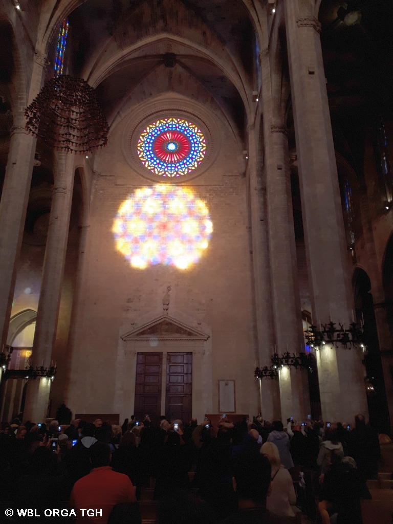 Palma 2