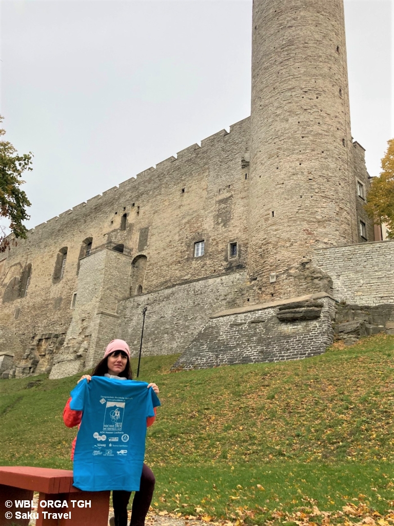 Toompea Castle  