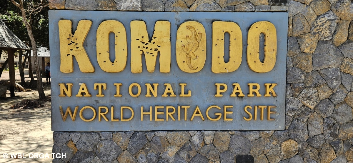 Komodo 1  