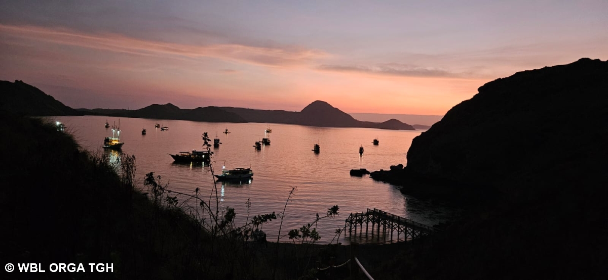 Padar 2  