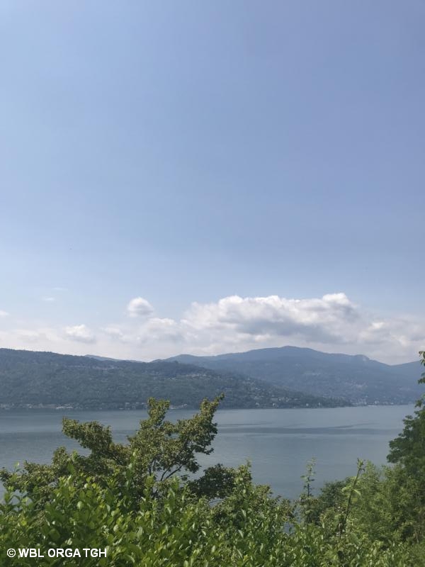 Bebbia