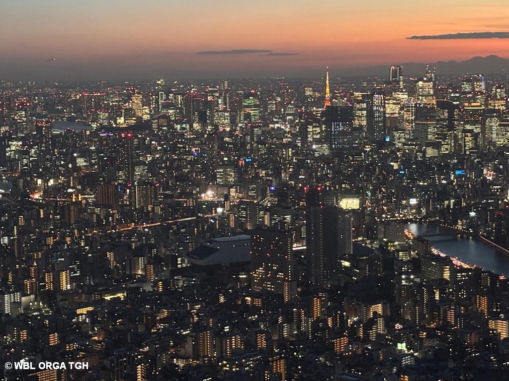 Tokio Imoressionen 2