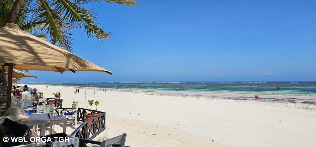 Diani 1
