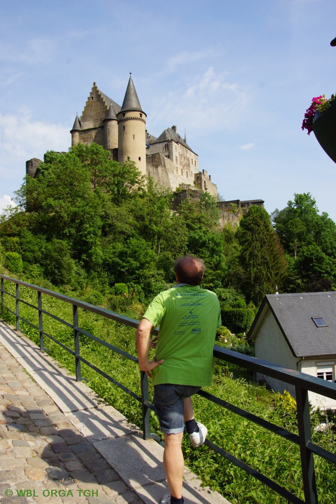 Burg Viaden 1 