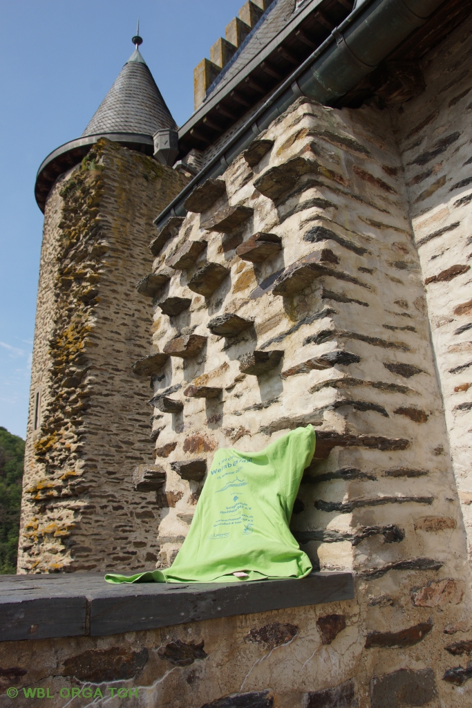 Burg Viaden 2