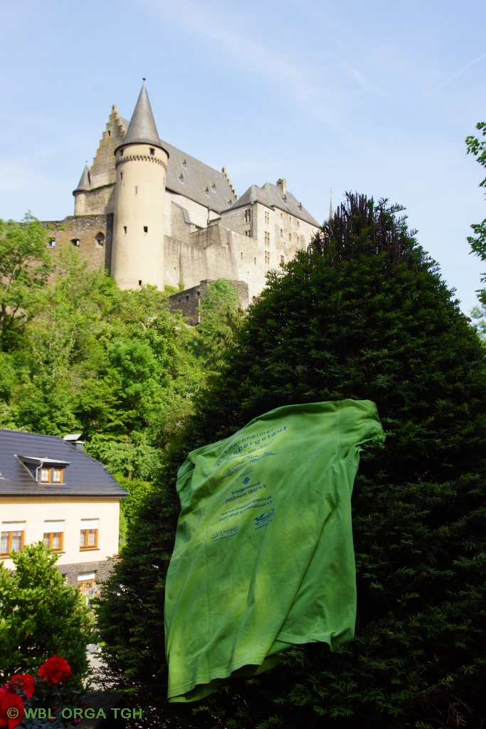 Burg Viaden 3