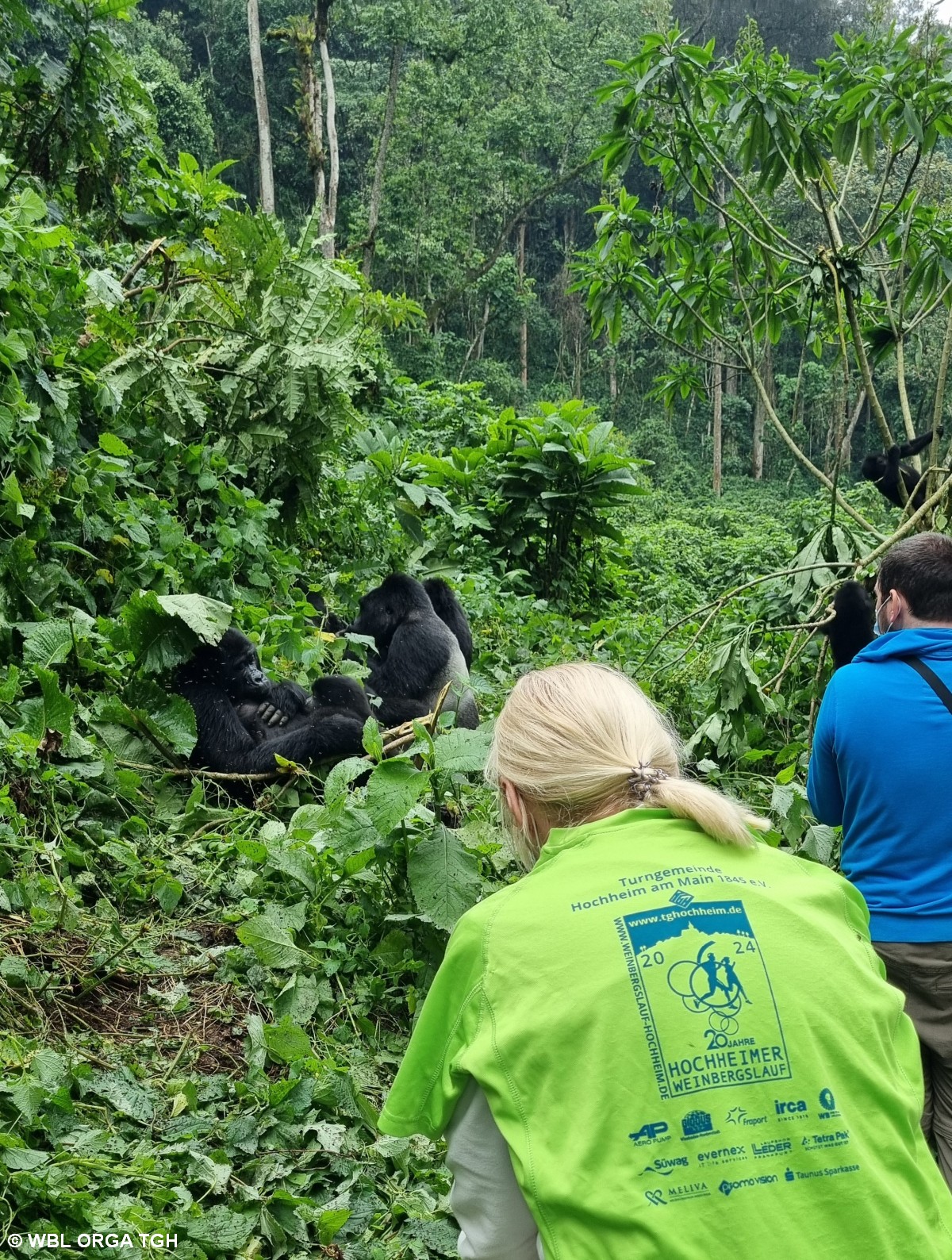  Bwindi NP 
